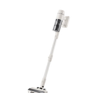 Roborock H60